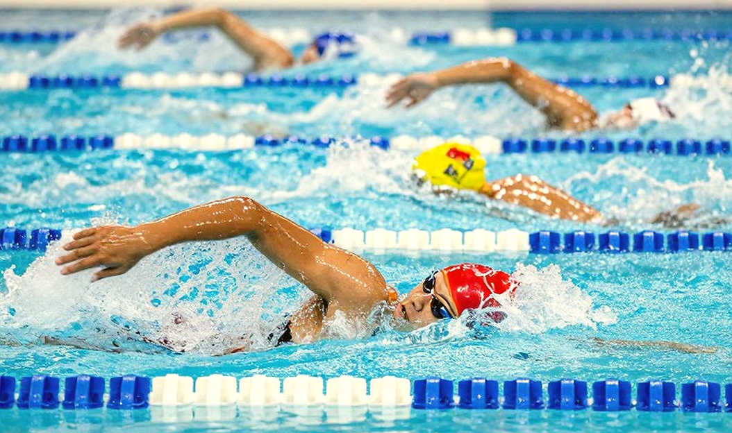 Vietnamese Swimming and the Lesson From a Data-Empty Analysis Vietnamese Swimming and the Lesson From a Data-Empty Analysis