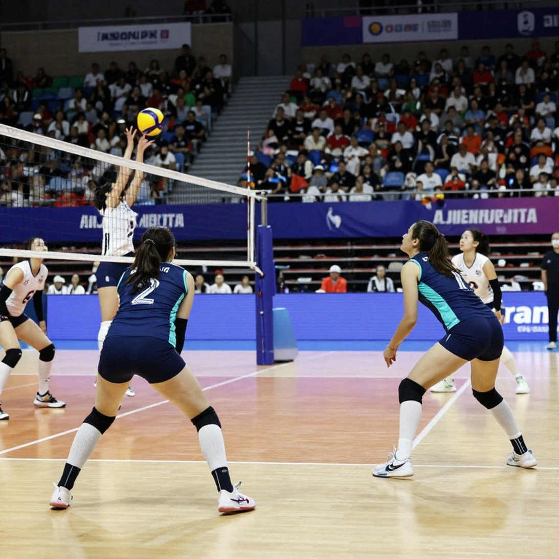 Outside Hitter Crisis: The Dark Omen for Vietnamese Women's Volleyball Before Asiad 20 Outside Hitter Crisis: The Dark Omen for Vietnamese Women's Volleyball Before Asiad 20