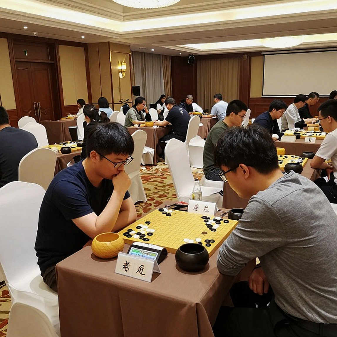 Carlsen trở lại, GCL 2026 chạy nước rút trước Olympiad Carlsen trở lại, GCL 2026 chạy nước rút trước Olympiad