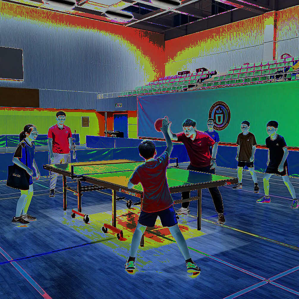 The Empty Analysis in Table Tennis: Nine Dimensions of Framework, Zero Lines of Data The Empty Analysis in Table Tennis: Nine Dimensions of Framework, Zero Lines of Data