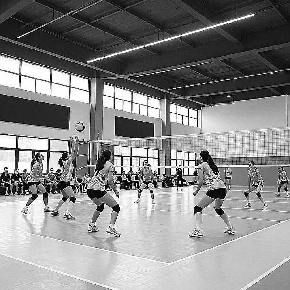 The Bus That Never Came and the Collapsed Chain: Vietnam Women's Volleyball Loses 0-3 to Indonesia at Asiad 20 The Bus That Never Came and the Collapsed Chain: Vietnam Women's Volleyball Loses 0-3 to Indonesia at Asiad 20