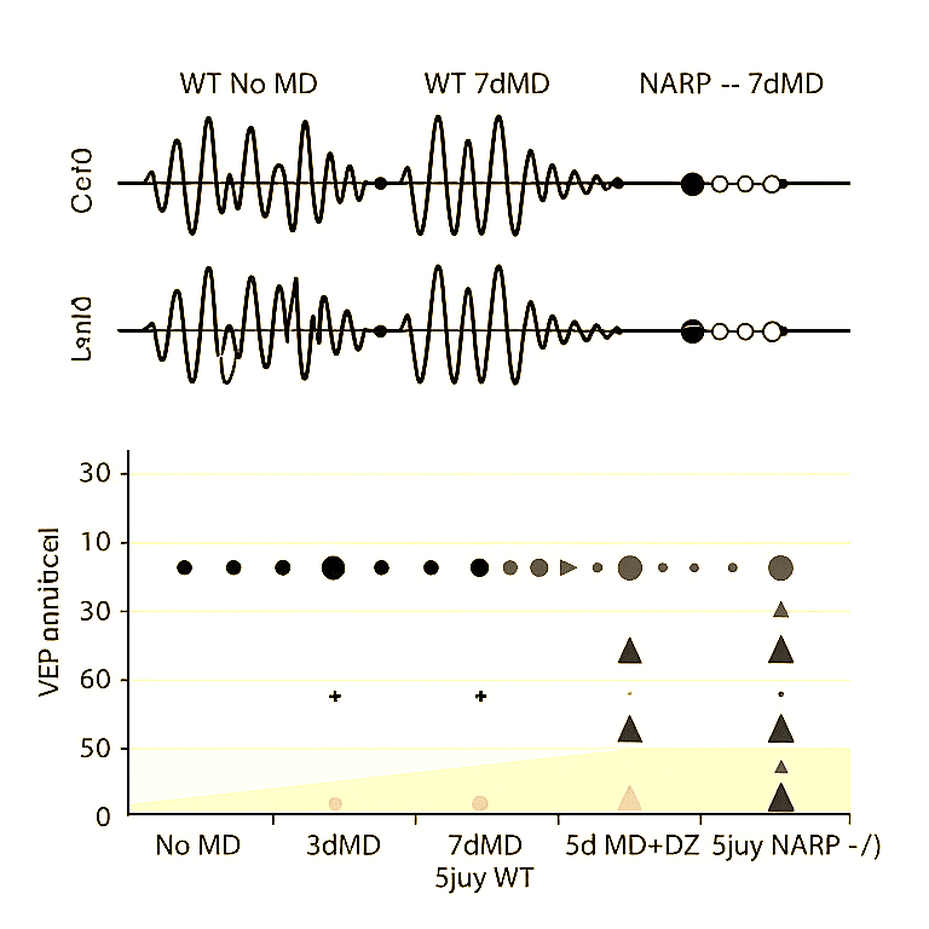 Formula 1 2026: A New Geometric Map and the Silence Data Has Not Yet Named Formula 1 2026: A New Geometric Map and the Silence Data Has Not Yet Named